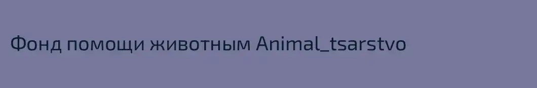 Фонд помощи животным Animal_tsarstvo 